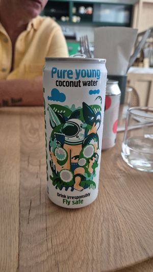  at Holy Llama - Sintagma in Athens