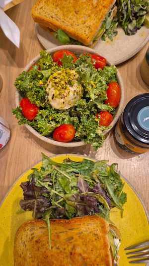  at Holy Llama - Sintagma in Athens