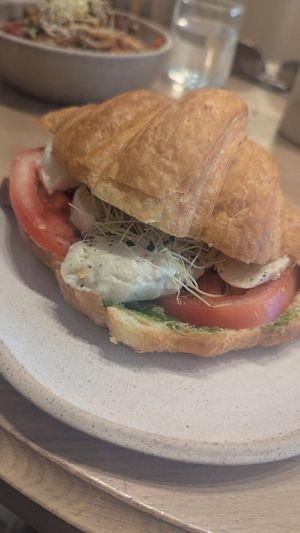  at Holy Llama - Sintagma in Athens