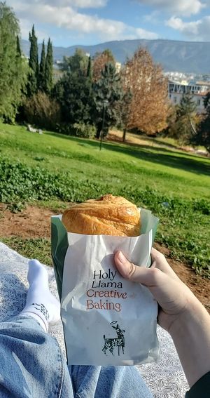  at Holy Llama - Sintagma in Athens