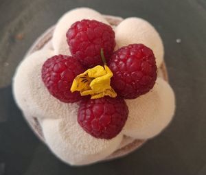  at Holy Llama - Sintagma in Athens