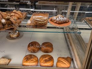  at Holy Llama - Sintagma in Athens