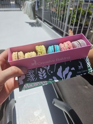   at Holy Llama - Sintagma in Athens