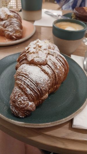  at Holy Llama - Sintagma in Athens