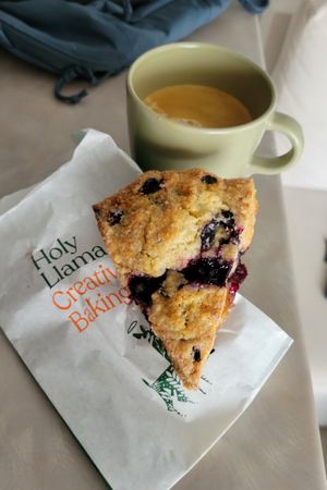  at Holy Llama - Sintagma in Athens