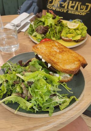  at Holy Llama - Sintagma in Athens