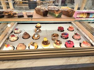  at Holy Llama - Sintagma in Athens