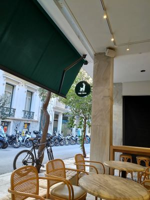  at Holy Llama - Sintagma in Athens