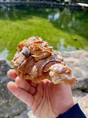   at Holy Llama - Sintagma in Athens