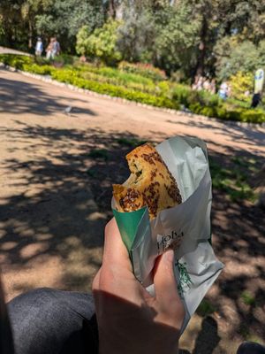Enjoying a spinach pie from Holy Llama in the sun at the national park at Holy Llama - Sintagma in Athens