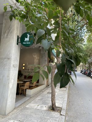   at Holy Llama - Sintagma in Athens