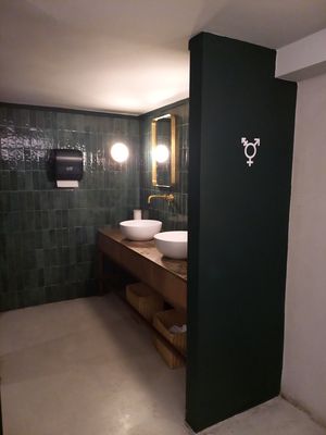 gender inclusive / unisex toilets ❤️ at Holy Llama - Sintagma in Athens