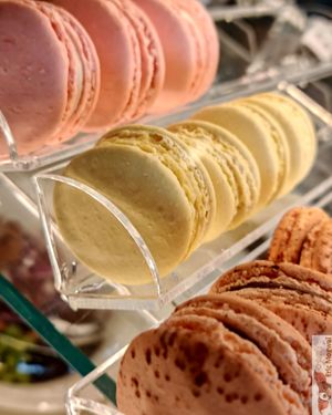 Macarons at Holy Llama - Sintagma in Athens