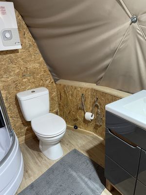 Toilet, shower and sink  at Vegan House in Nagodzice