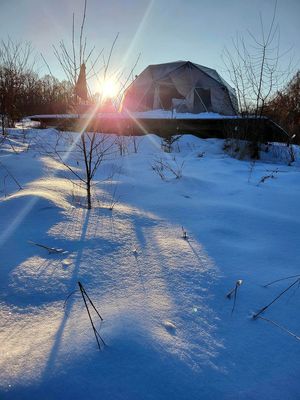  at Vegan House in Nagodzice