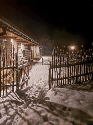  at Vegan House in Nagodzice