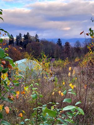  at Vegan House in Nagodzice