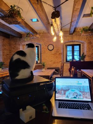  at Vegan House in Nagodzice