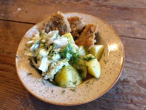  at Vegan House in Nagodzice