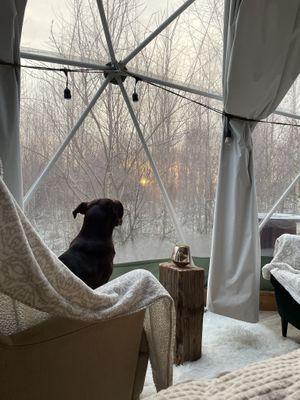   at Vegan House in Nagodzice