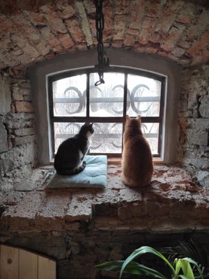  at Vegan House in Nagodzice