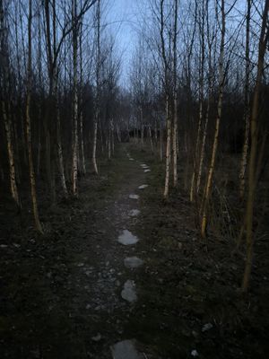  at Vegan House in Nagodzice