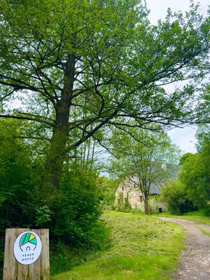  at Vegan House in Nagodzice