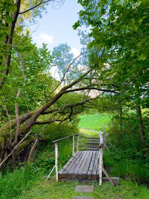  at Vegan House in Nagodzice