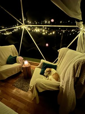  at Vegan House in Nagodzice