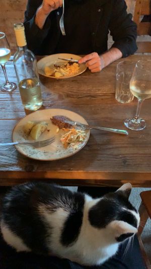 Dinner with a guest and vegan whine  at Vegan House in Nagodzice