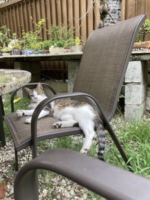   at Jardin Verde in Santo Domingo