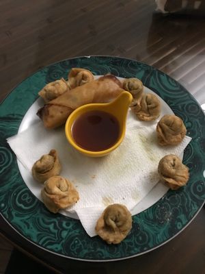 Yummy dumplings and summer rolls  at Jardin Verde in Santo Domingo