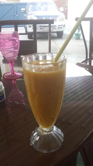 Frozen Mango (Looked fancier when it first arrived - forgot to take the photo). at Jardin Verde in Santo Domingo