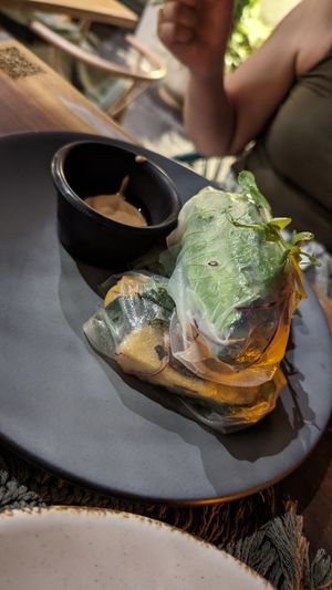 Crispy tofu mango rolls at Casa Vegana in Tulum