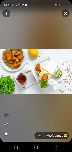  at Mr. Veganus in Ludwigshafen