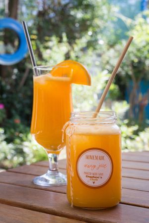  at Daphne's Club Cosy Seaside Accommodation & Cosy Veggie Restaurant in Xylokastro