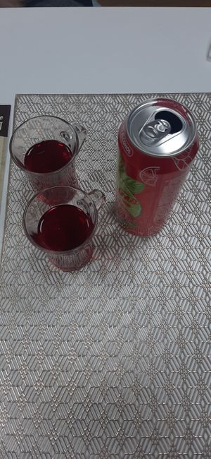  at Vegan House in Ulaanbaatar