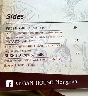  at Vegan House in Ulaanbaatar
