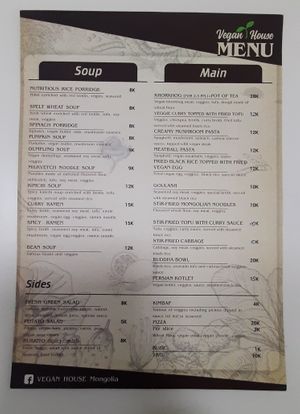  at Vegan House in Ulaanbaatar