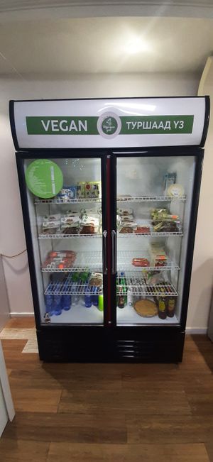  at Vegan House in Ulaanbaatar
