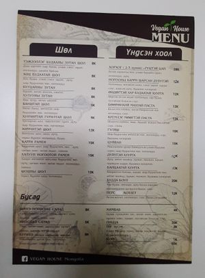  at Vegan House in Ulaanbaatar