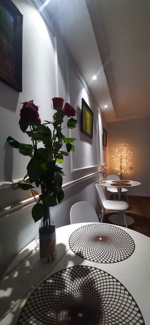  at Vegan House in Ulaanbaatar