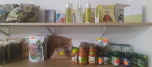  at Vegan House in Ulaanbaatar