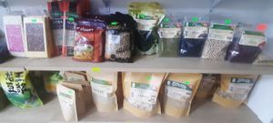  at Vegan House in Ulaanbaatar