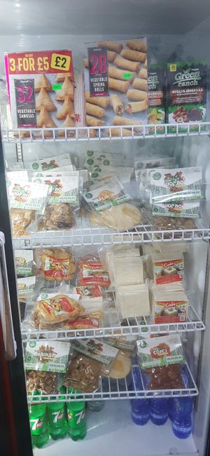  at Vegan House in Ulaanbaatar