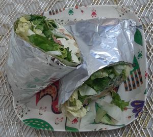  at Vegan House in Ulaanbaatar