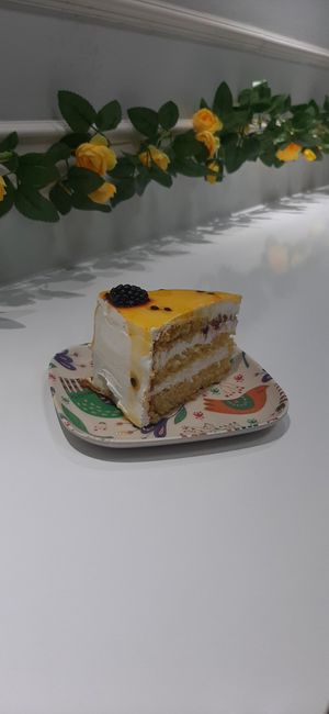  at Vegan House in Ulaanbaatar