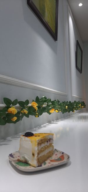  at Vegan House in Ulaanbaatar