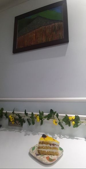  at Vegan House in Ulaanbaatar