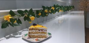  at Vegan House in Ulaanbaatar